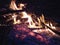 Campfire at night, burning dead trees, photo taken in the UK