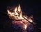 Campfire at night, burning dead trees, photo taken in the UK