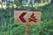 Campfire sign in the forest