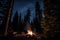 campfire surrounded by spruce forest at night