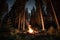 campfire surrounded by spruce forest at night