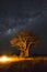 Campfire under baobab trees and the milky way