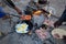 Campfire in the wilderness in Namibia