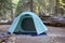 Campground green tent among pine trees