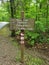 Campground Park Sign in Forest