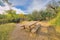 Campground with a view of a creek and slope with saguaros in Sabino Canyon at Tucson, AZ