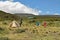 Camping against a mountain background, Mount Kenya