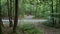 Camping area at Lake Powhatan in the Appalachian Mountains