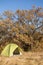 Camping area with multi-colored tents in forest.