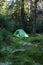 Camping area with multi-colored tents in forest.