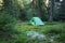 Camping area with multi-colored tents in forest.