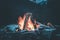 Camping bonfire with yellow and red flames in summer, forest. Copy space