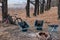 Camping chairs and portable table, lightweight and compact travel items. equipped camp. autumn forest. cool day. bicycle. firewood