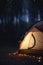 Camping in the Dark: Illuminated Tent in the Forest