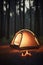 Camping in the Dark: Illuminated Tent in the Forest
