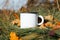 Camping enameled white mug mock-up standing on green grass with fallen autumn leaves, outdoors. Metal blank camping cup