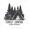 Camping extreme adventure . Vector illustration.