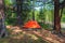 Camping in the forest. Orange tent in a coniferous mountain forest. Peace and relaxation in nature