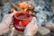 Camping lifestyle concept. Hands holding red enamel mug near a campfire