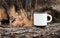 Camping metal white mug mockup standing on tree in forest outdoors, copy space for text. Enamelled empty cup for branding