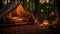 Camping in nature, tent under starry night, fire illuminates generated by AI