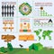 Camping outdoors hiking infographics. Set elements for creating