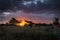 Camping overnight in tents in savanna Serengeti camp during safari expedition.