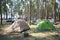 Camping in a pines forest on a riverside, tents and people relaxing