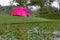 camping pink tent on the meadow field with lotus pond on the mountain