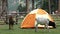 Camping pod