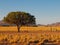 Camping site in african wilderness