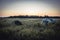 Camping site with camping tents on summer rural field and sunset sky during camping holidays