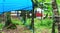 Camping site in the rainy summer day. Tourist tents installed in the forest.