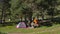 Camping site for tents in a forest glade on a summer day.