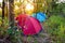 Camping site with tents in tropical forest