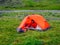 Camping on a summer green high-altitude plateau. Man in a orange tent is preparing food. Peace and relaxation in nature