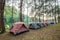 Camping tent in pine forest on reservoir at sunset