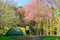 Camping tent with a Traveler looking Wild Himalayan Cherry Pink