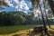 Camping tent under the pine forest near lake in sunset