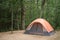 Camping Tent in Woods