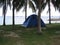 Camping tents among coconut trees