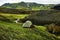 Camping and tents in Iceland