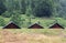 Camping tents in a scout camp on the lawn in the mountains