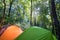 Camping tents of tourists in forest.  Campsite in the park with sun rays. Morning shadows and lights, sun harp in woods. Camping p