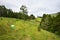 Camping in tiny tent on sloped farmland