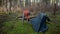 Camping, tourism and travel concept. Man setting up tent outdoors. Hiker assembles campsite tent in the autumnal forest
