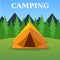 Camping tourist tent on forest landscape