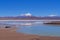 Camping vehicles standing by the Lagoon Laguna Brava, near Paso Pircas Negras mountain pass, Argentina, La Rioja, South