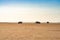 Camping vehicles surrounded by people in the background of a beach