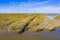 Campshedding Tidal Marshland Waddensea